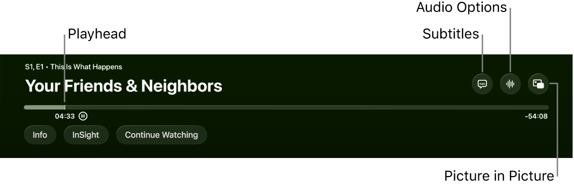 Playback controls