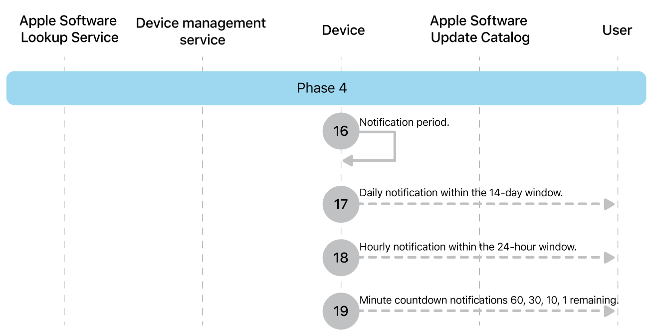 Phase 4 showing steps 16 through 19 of Apple software update enforcement.