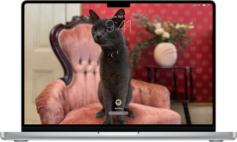 جهاز Mac يعرض شاشة القفل مع تعيين صورة قطة جالسة على كرسي كصورة سطح المكتب. تظهر صورة ملف تعريف المستخدم الذي سجل دخوله حاليًا في أسفل الشاشة.