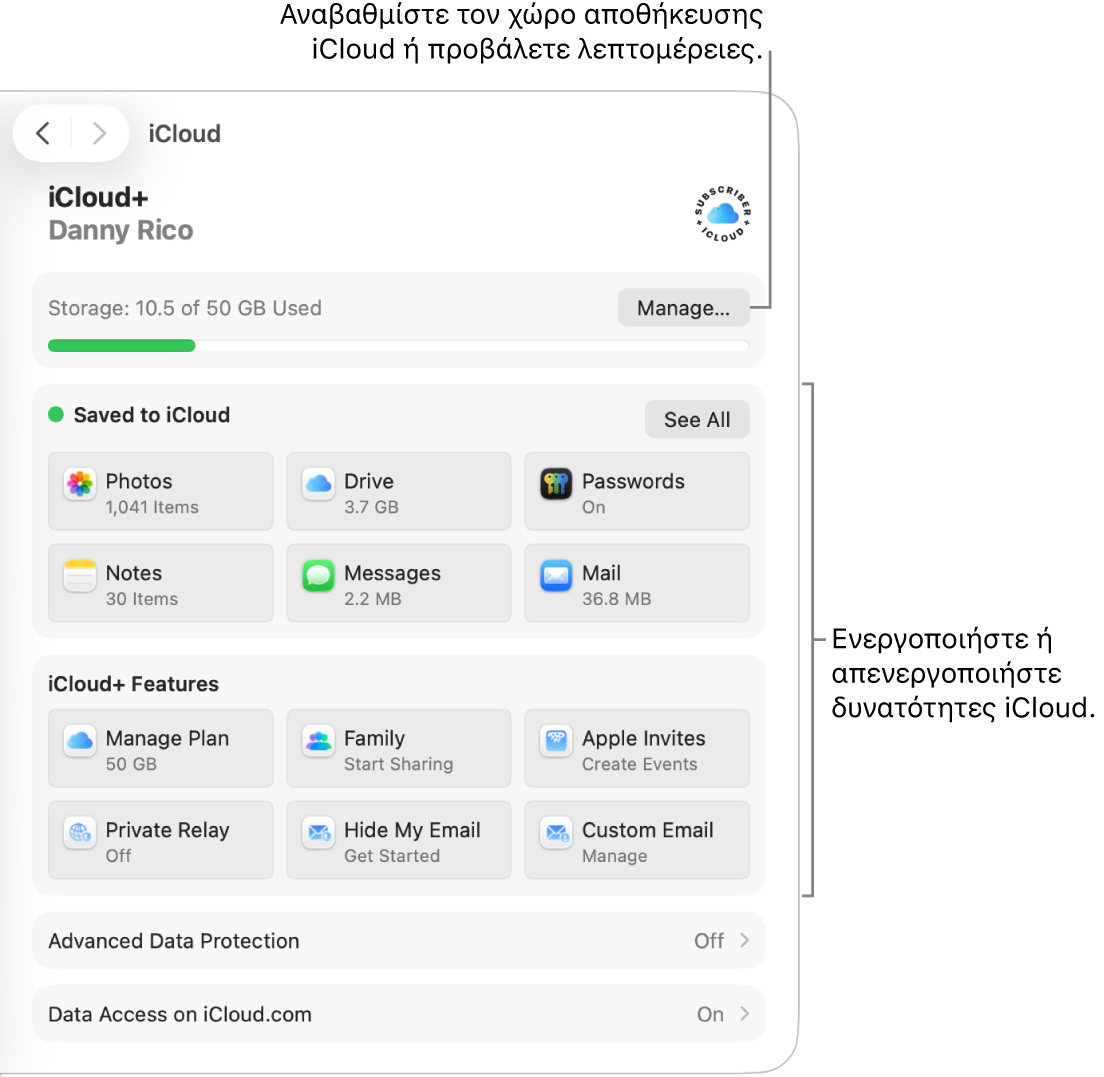 Ρυθμίσεις iCloud για τις πιο συχνά χρησιμοποιούμενες δυνατότητες.