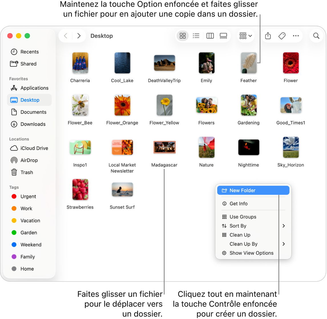 Une fenêtre du Finder contenant des fichiers et des dossiers. « Nouveau dossier » est surligné dans le menu contextuel.