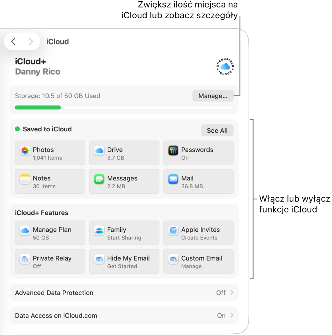 Ustawienia iCloud dla najczęściej używanych funkcji.