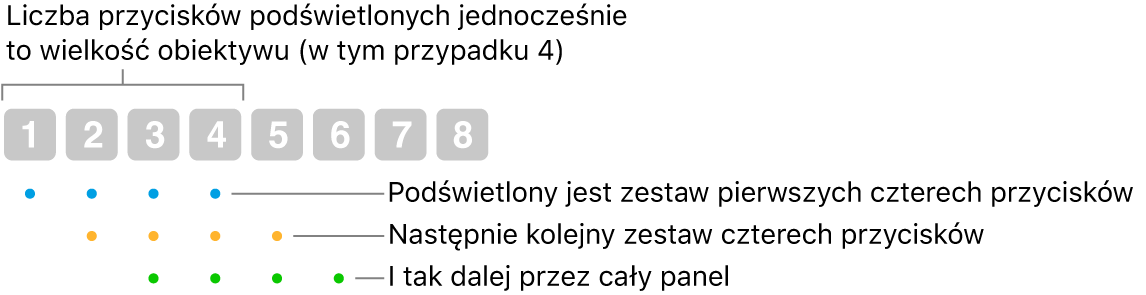 Ilustracja przedstawiająca działanie funkcji Sunięcie i krok: Wyróżniony jest zestaw czterech przycisków (rozmiar soczewki), następnie kolejny zestaw czterech przycisków – i tak dalej, w kolejnych nakładanych na siebie sekwencjach.