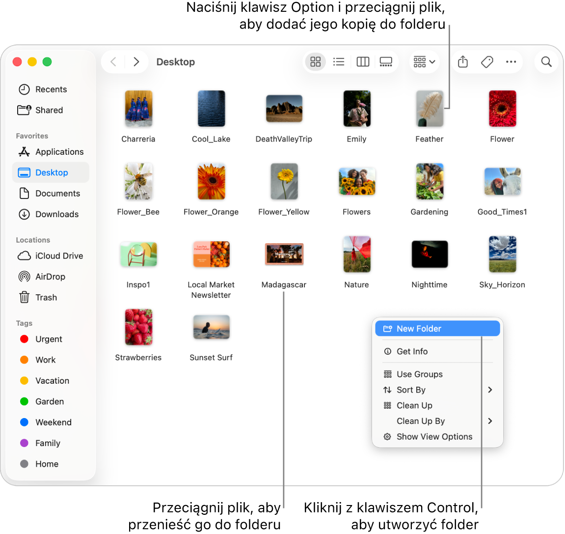 Okno Findera zawierające pliki i foldery. W menu podręcznym wyróżnione jest polecenie Nowy folder.