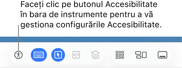 Butonul Accesibilitate din bara de instrumente Partajare ecran este afișat.