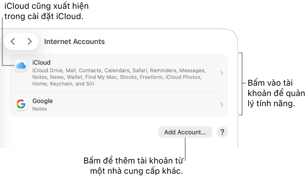 Cài đặt Tài khoản internet với các tài khoản được thiết lập trên máy Mac được liệt kê.