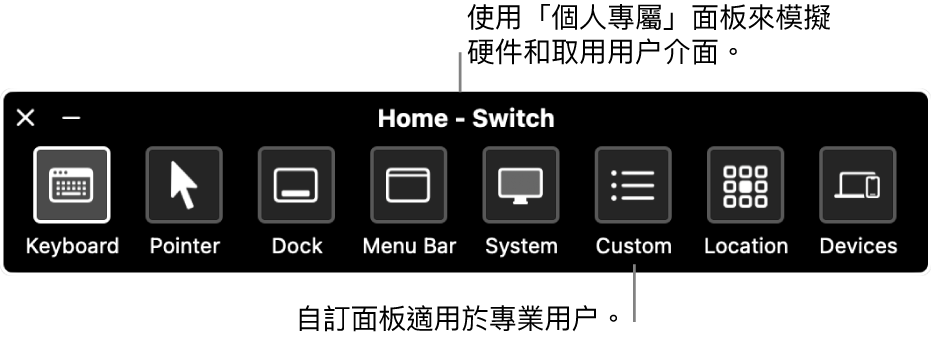「切換控制」的「個人專屬」面板,其中包括的項目由左至右為:用於控制鍵盤、指標、Dock、選單列、系統控制項目、自訂面板、螢幕位置和其他裝置的按鈕。