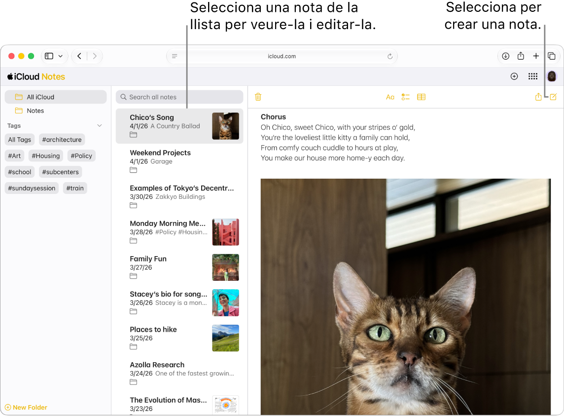 Una nota oberta a iCloud.com, amb diverses notes que apareixen en una barra lateral i una nota oberta a la dreta de la barra lateral.