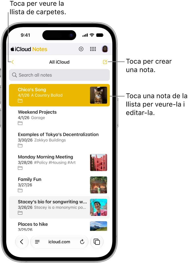 Una llista de notes oberta a iCloud.com en un telèfon.