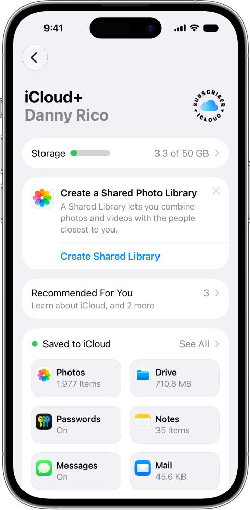The Settings screen with iCloud features turned on.