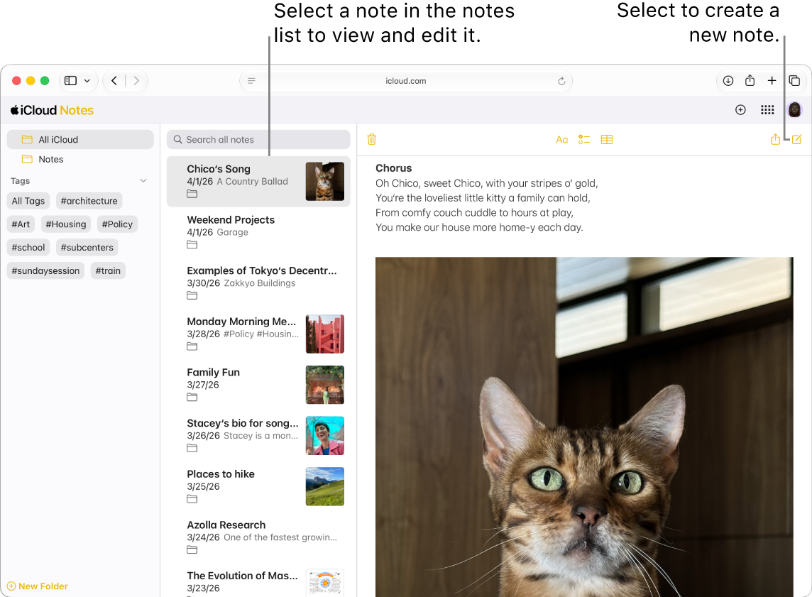 An open note on iCloud.com, with several notes appearing in a sidebar, and an open note to the right of the sidebar.