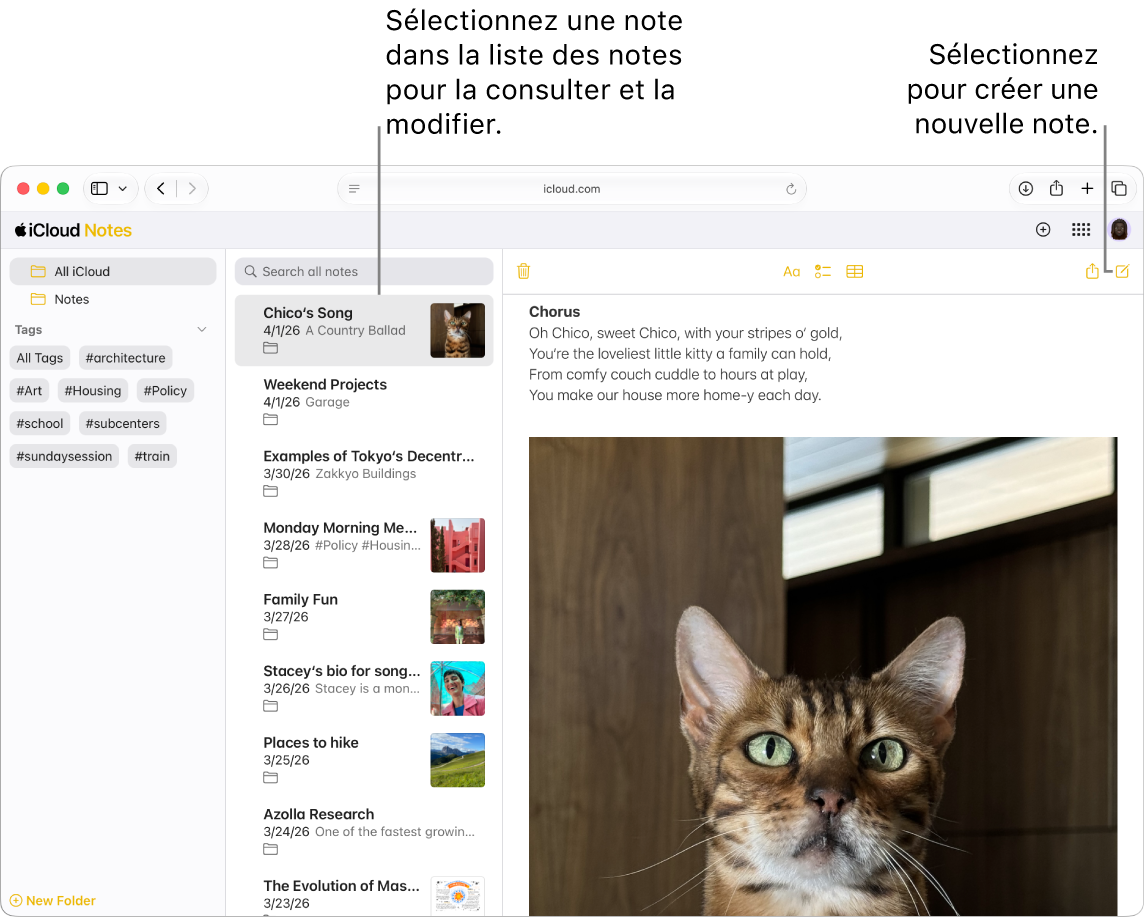 Une note ouverte sur iCloud.com, avec plusieurs notes dans une barre latérale, et une note ouverte à droite de la barre latérale.