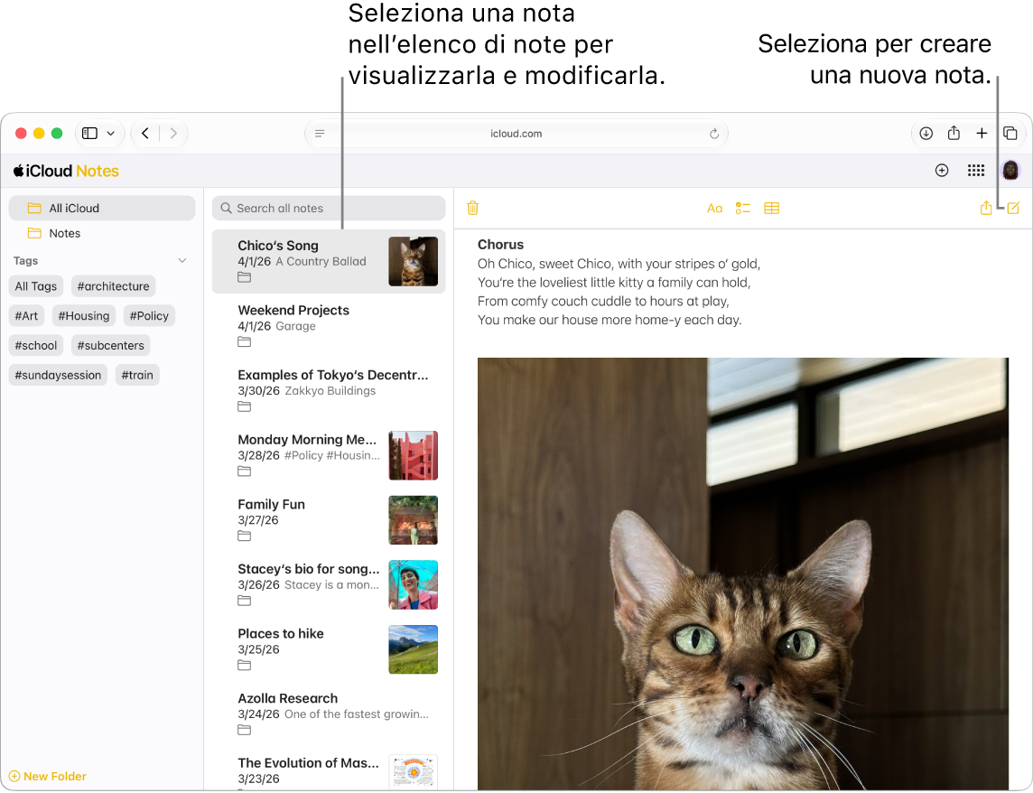 Una nota aperta su iCloud.com, con diverse note visibili in una barra laterale e una nota aperta a destra della barra laterale.