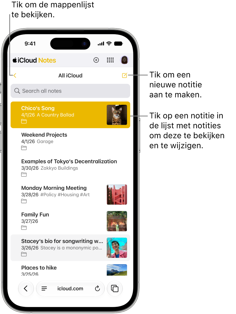 Een open notitielijst op iCloud.com op een telefoon.