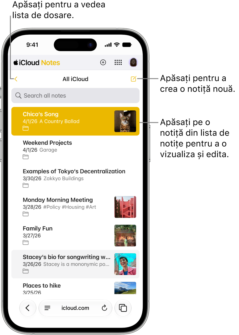 O listă deschisă de notițe pe icloud.com pe un telefon.
