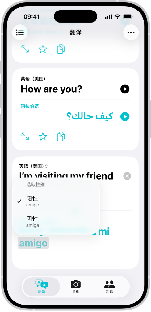 “翻译”标签页,显示从英语翻译成西班牙语的短语,下方所列具有性别差异的单词以灰色高亮标记。