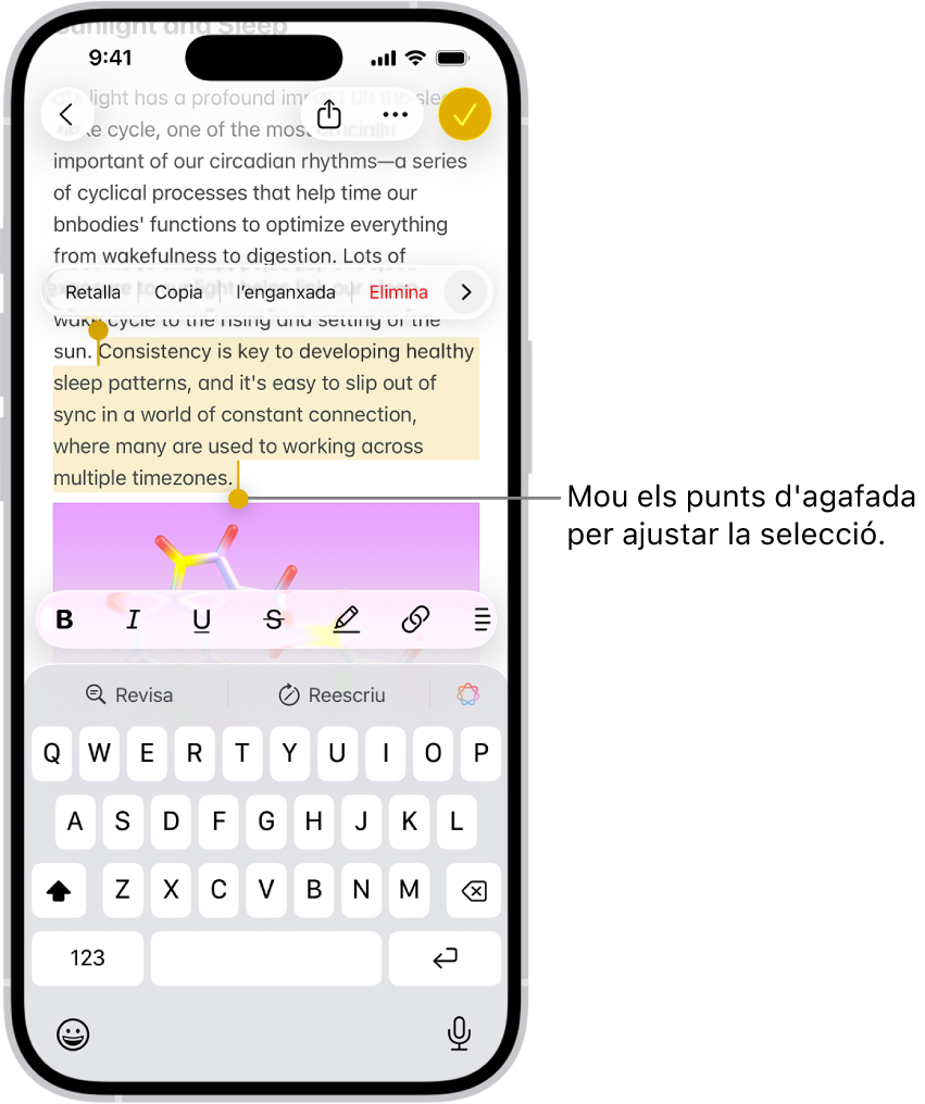 En una nota de l’app Notes se selecciona un fragment de text. A sobre del text seleccionat hi ha els botons “Retalla”, “Copia”, “Enganxa” i “Autocompleta”. El text seleccionat està ressaltat, i a cada extrem té un punt d’agafada per ajustar la selecció.