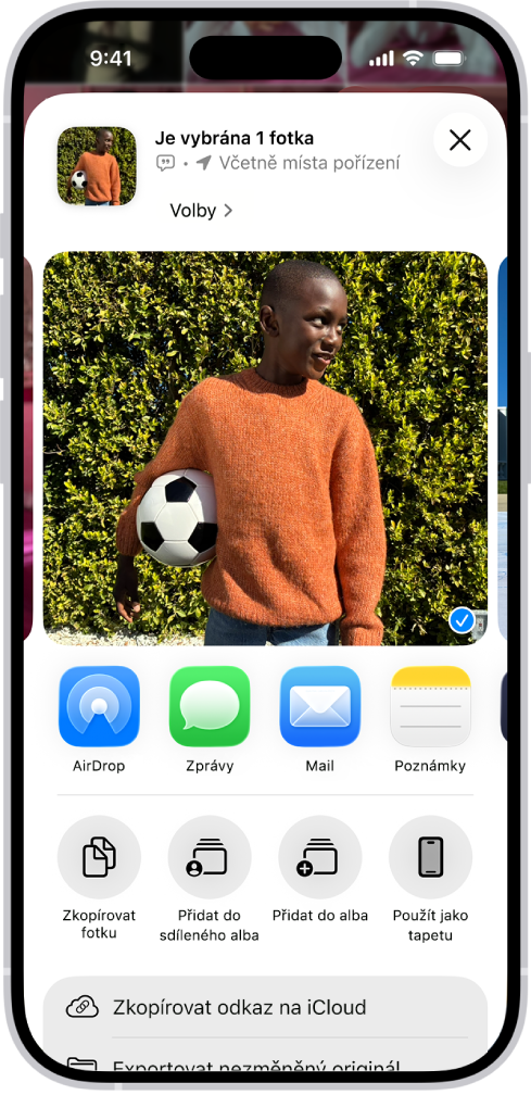V horní polovině displeje iPhonu je vidět vybraná fotka a pod ní je pruh s možnostmi sdílení. Ještě níž se zobrazují další volby – Zkopírovat fotku, Přidat do sdíleného alba, Přidat do alba a Použít jako tapetu.