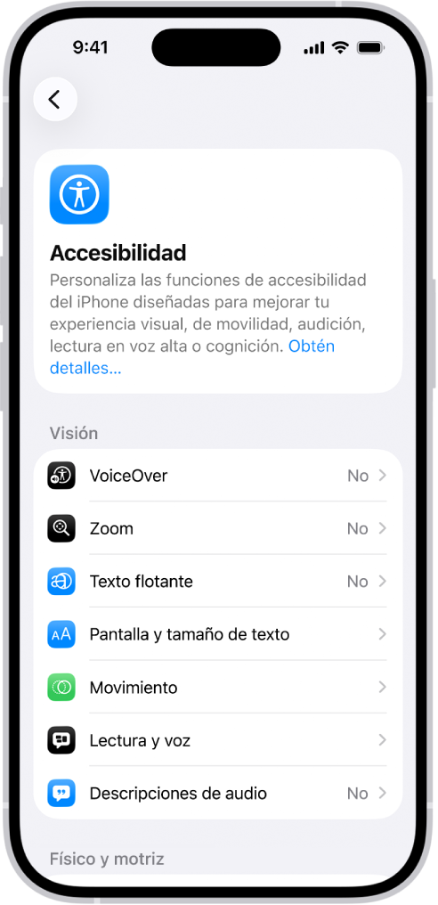 La pantalla de accesibilidad en Configuración que muestra las funciones integradas de soporte para la visión.