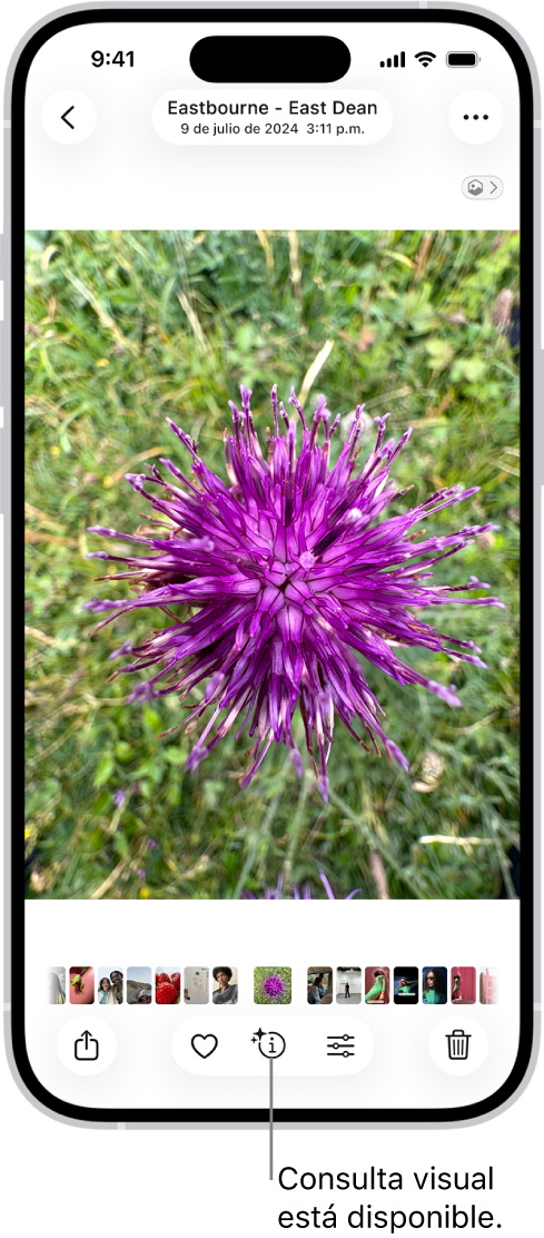 Hay una foto abierta en la fototeca de la app Fotos. En la parte inferior de la pantalla, el botón Información muestra un ícono que indica que hay disponible información mediante la consulta visual.