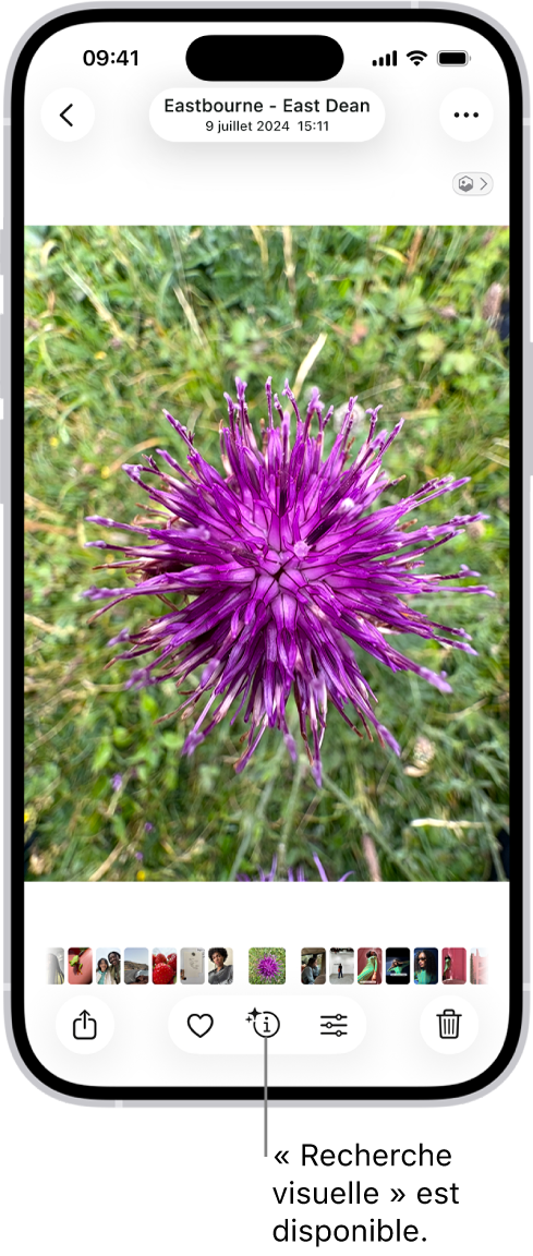 Une photo est ouverte dans la photothèque de l’app Photos. En bas de l’écran, le bouton Infos affiche une icône indiquant que des informations « Recherche visuelle » sont disponibles.