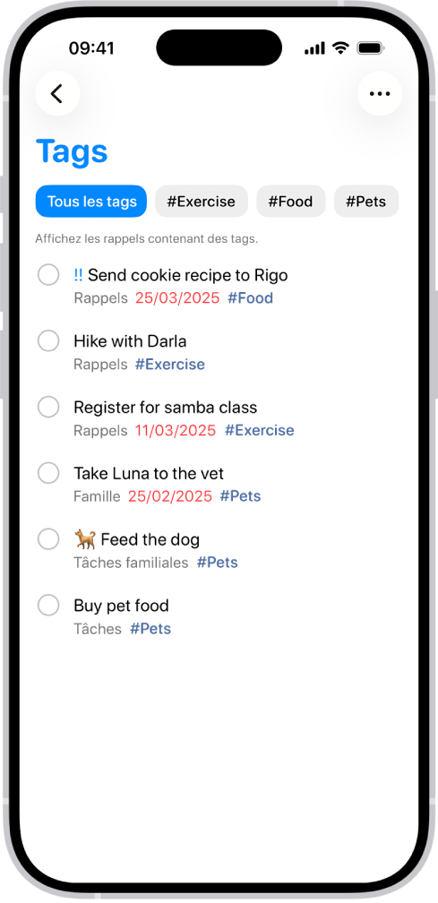 Une liste de rappels étiquetés dans l’app Rappels. Les boutons situés en haut de l’écran affichent d’autres tags que vous pouvez appliquer.
