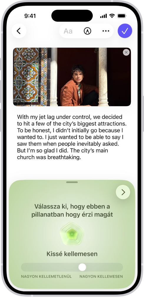 Egy naplóbejegyzés a Napló appban, amelynek alján egy olyan szakasz található, ahol naplózhatja a lelkiállapotát.