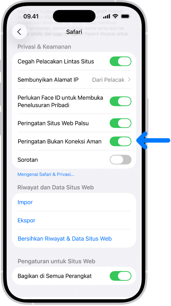 Kontrol Peringatan Koneksi Tidak Aman, yang terletak di bawah Privasi & Keamanan di layar Safari di Pengaturan.