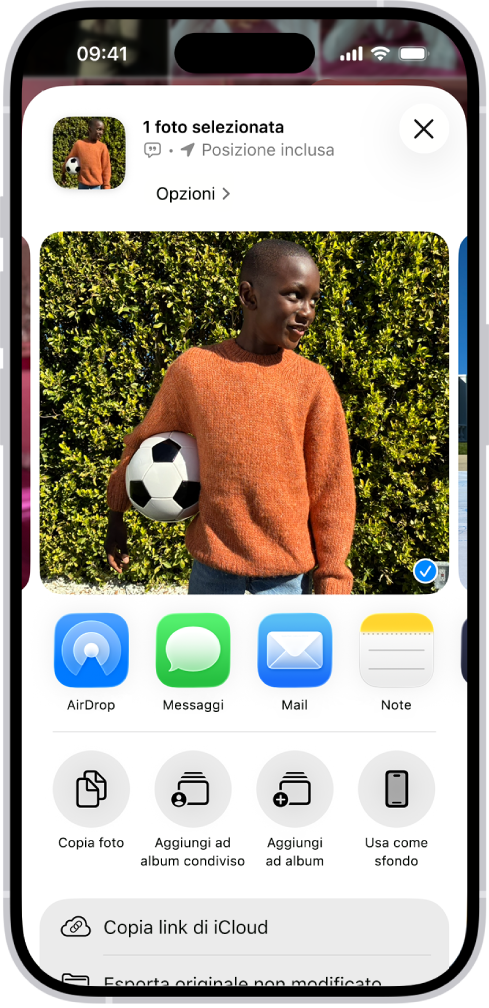 Nella metà superiore della schermata di iPhone viene mostrata una foto selezionata, seguita da una riga di opzioni per la condivisione. Sotto vengono mostrate opzioni aggiuntive, tra cui “Copia foto”, “Aggiungi ad album condiviso”, “Aggiungi ad album” e “Usa come sfondo”.