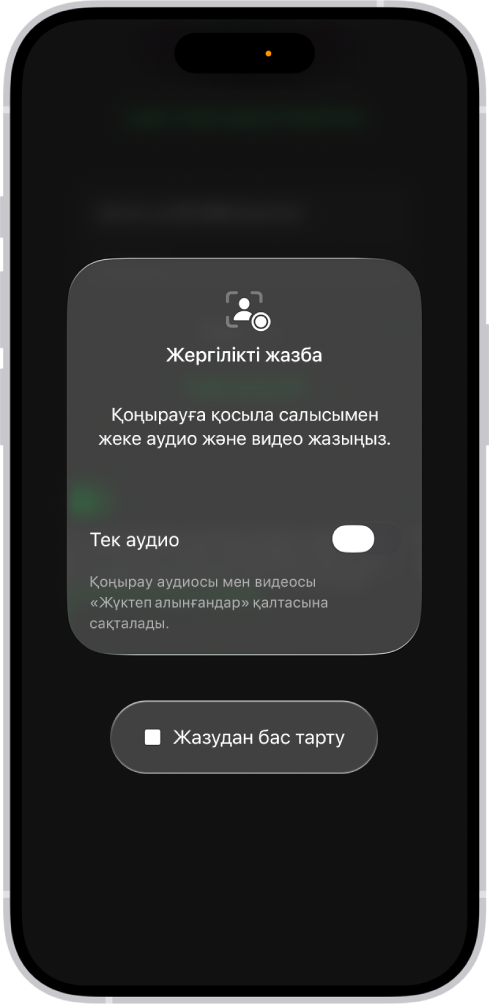 Видеоконференцияның өз жағыңыздың Жергілікті аудиосын және Визуалды түсіруді бастау экраны.