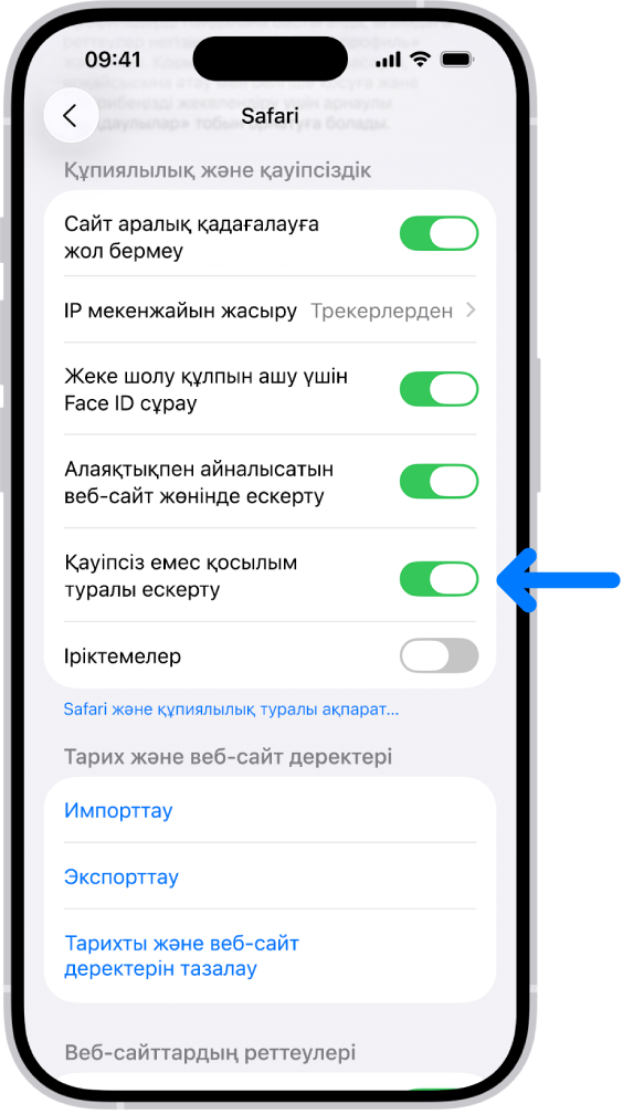 «Реттеулер» қолданбасындағы Safari экранындағы «Құпиялылық және қауіпсіздік» реттеуінің төменінде орналасқан «Қауіпсіз емес қосылым туралы ескерту» басқару элементі.