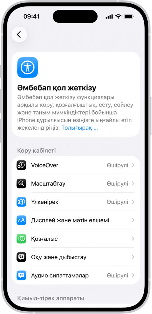 «Көру» қолдауы үшін кірістірілген мүмкіндіктерді көрсетіп тұрған «Реттеулер» терезесіндегі «Әмбебап қол жеткізу» экраны.