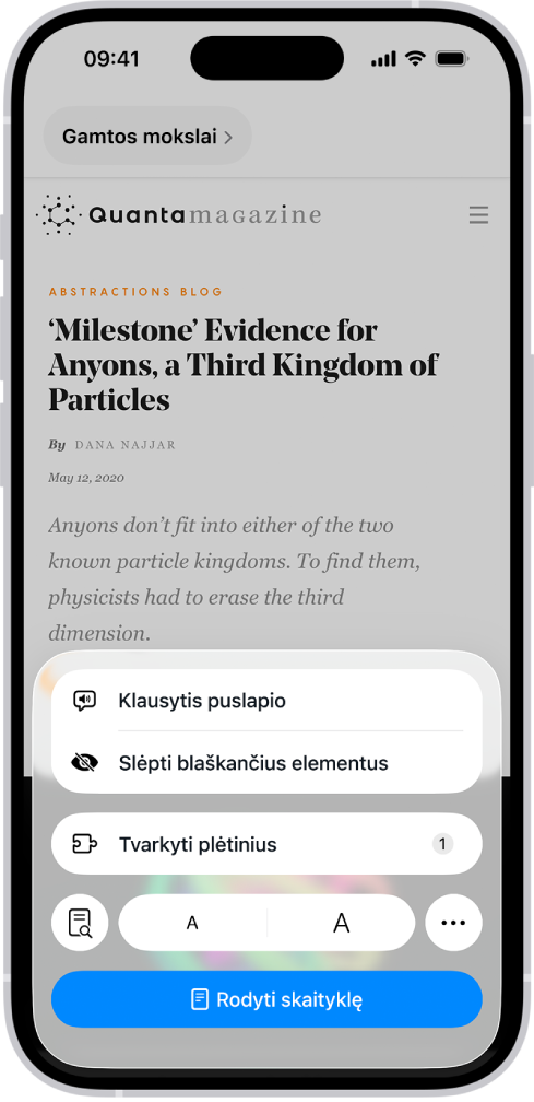 Programoje „Safari“ bakstelėtas svetainėje esantis mygtukas „Puslapio meniu“, rodomos parinktys, įskaitant „Slėpti blaškančius elementus“.