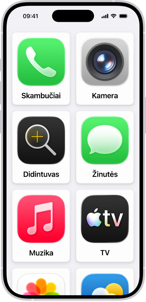 „iPhone“ įrenginyje rodomas pagalbinės prieigos pradžios ekranas su dideliu programų tinkleliu.
