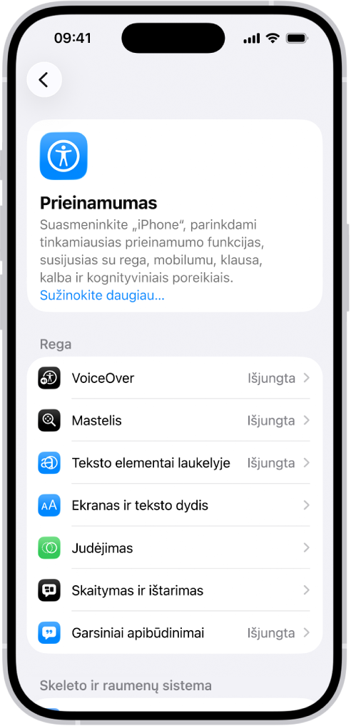 Srityje „Nustatymai“ matomas ekranas „Prieinamumas“, kuriame yra integruotos funkcijos, skirtos regai.