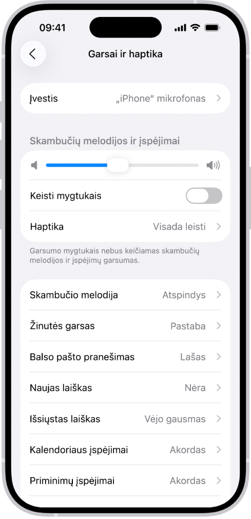 „Nustatymai“ ekranas „Garsai ir haptika“.