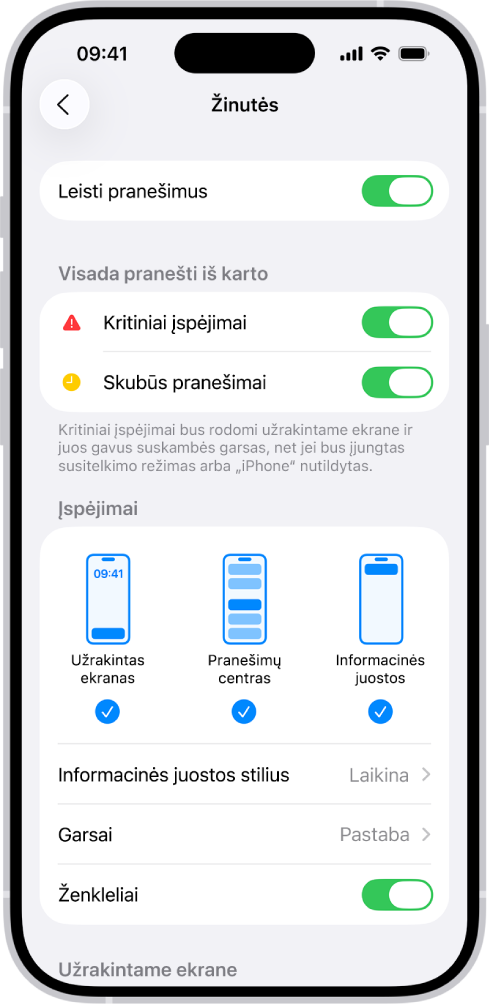„Žinučių pranešimų“ nustatymai programoje „Nustatymai“.