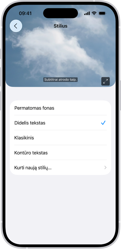 „iPhone“ įrenginyje rodomas pasirinktinio stiliaus subtitrų pavyzdys.