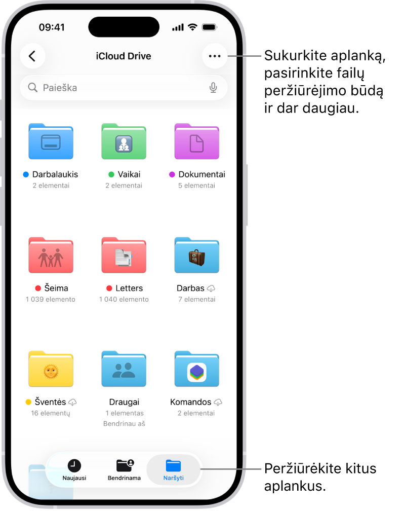 Programoje „Failai“ rodomi failai ir aplankai „iCloud Drive“ saugykloje. „Daugiau“ meniu yra parinktys „Pasirinkti“, „Naujas aplankas“, „Nuskaityti dokumentus“ ir „Prisijungti prie serverio“. Toliau pateikiamos parinktys, kuriomis galite peržiūrėti elementus ekrane kaip „Piktogramos“ arba „Sąrašas“. Apačioje pateikiamos rikiavimo parinktys: „Vardas“, „Rūšis“, „Data“, „Dydis“ ir „Žymos“, tada seka „Rodyti parinktis“.