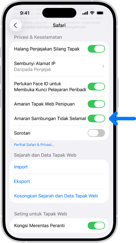 Kawalan Amaran Sambungan Tidak Selamat, terletak di bawah Privasi & Keselamatan pada skrin Safari dalam Seting.