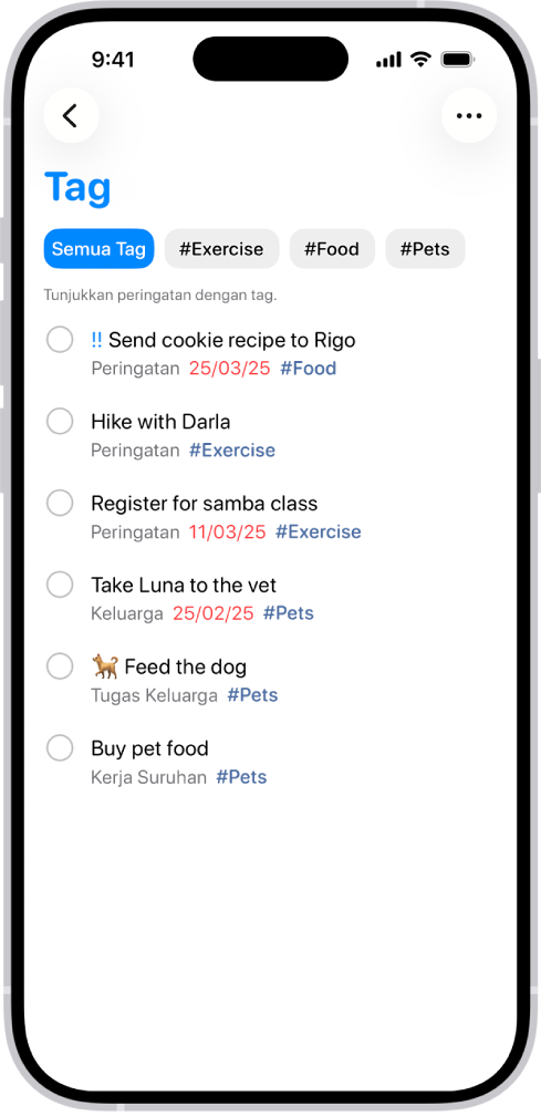Senarai peringatan yang ditag dalam app Peringatan. Butang di sepanjang bahagian atas menunjukkan tag tambahan yang anda boleh gunakan.