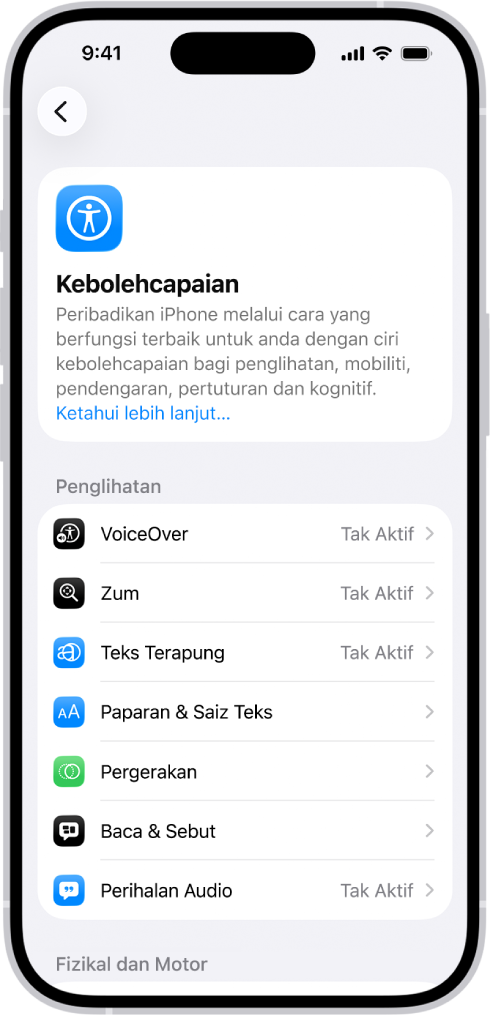 Skrin Kebolehcapaian dalam Seting menunjukkan ciri terbina dalam untuk sokongan Penglihatan.