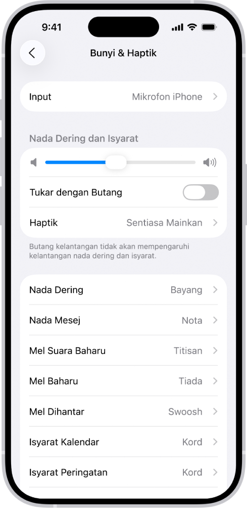 Skrin Bunyi dan Haptik dalam Seting.