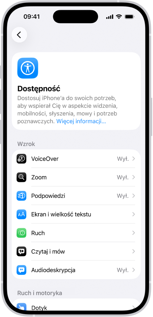 Ekran Dostępność w Ustawieniach prezentujący wbudowane funkcje dostępności związane ze wzrokiem.