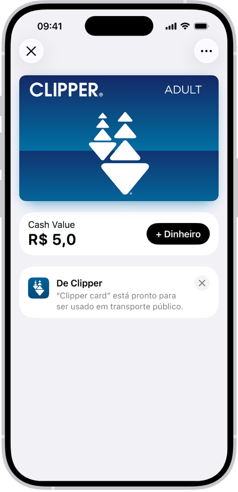 Cartão de transporte público na tela do app Carteira. Abaixo está o saldo, ao lado do botão Adicionar Dinheiro.
