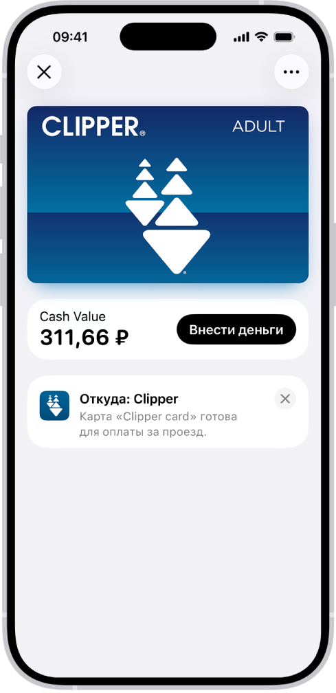 Транспортная карта на экране приложения Wallet. Рядом с кнопкой «Внести деньги» под картой показан ее баланс.