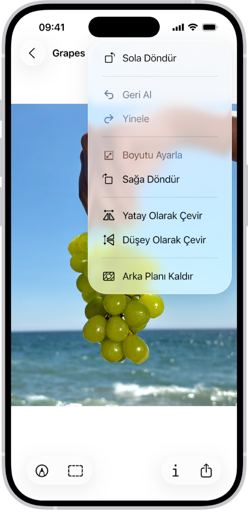 Önde üzümlerin olduğu bir görüntüyü gösteren bir ekran. Menüde Arka Planı Kaldır seçeneği gösteriliyor. Ekranın en altında İşaretle, Kırp, Bilgi ve Paylaş düğmeleri var.