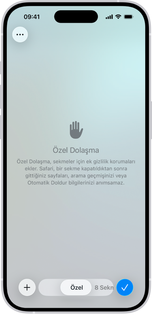Safari uygulamasında Özel Dolaşma ekranı. Özel sözcüğü ekranın en altındaki alanda görünüyor.