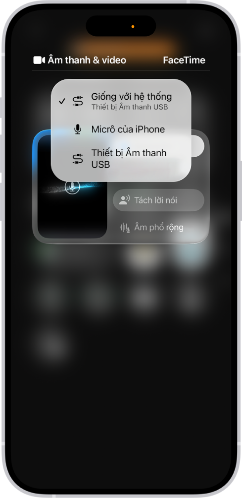 Các điều khiển để chọn nguồn đầu vào âm thanh cho cuộc gọi FaceTime.