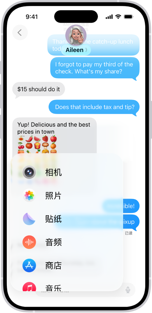 在“信息”对话中轻点“添加”按钮后出现的功能列表。